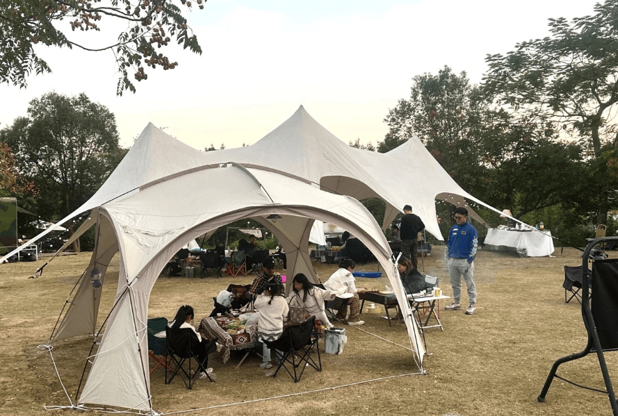 门“篷友”共筑文明露营新风尚冰球突破豪华版与自然为邻 厦(图2)