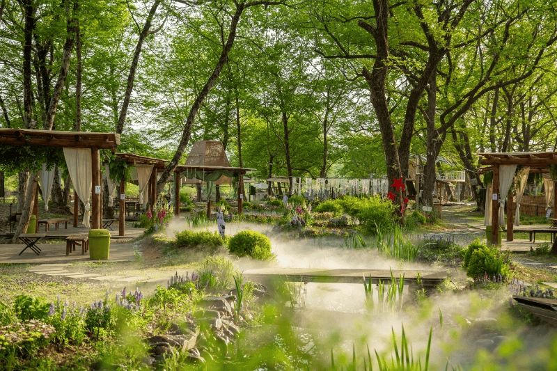 ⑭】西津街道大村村：农文旅融合 让美景变